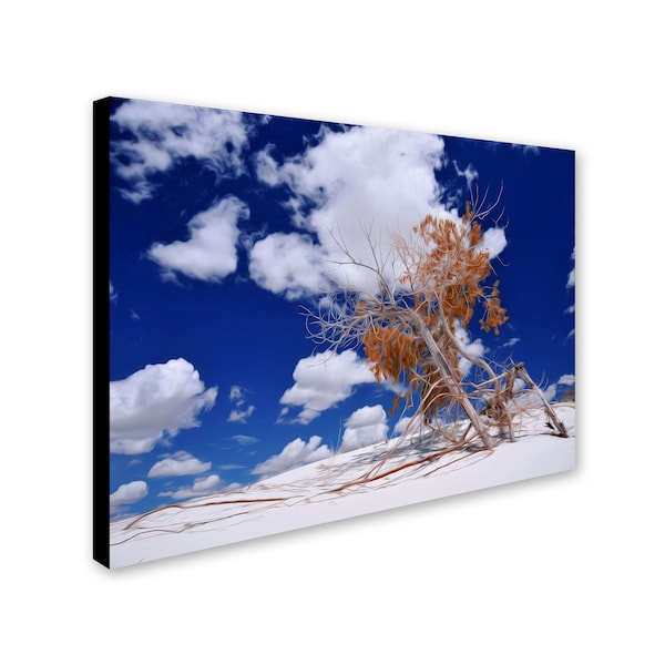 Philippe Sainte-Laudy 'Burn Tree' Canvas Art,22x32